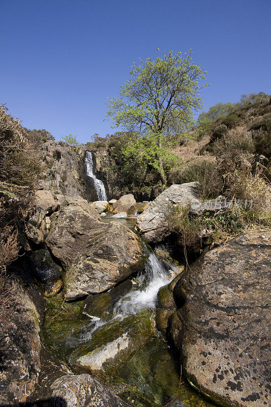 瀑布在Moel y Dyniewyd, Beddgelert附近，Eryri(斯诺登尼亚国家公园)